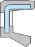 rzv