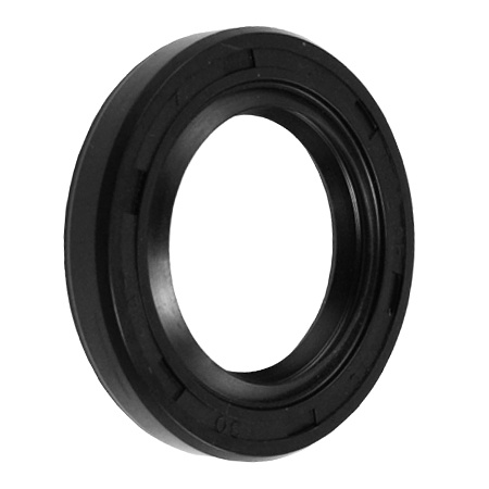 Rotary shaft seals